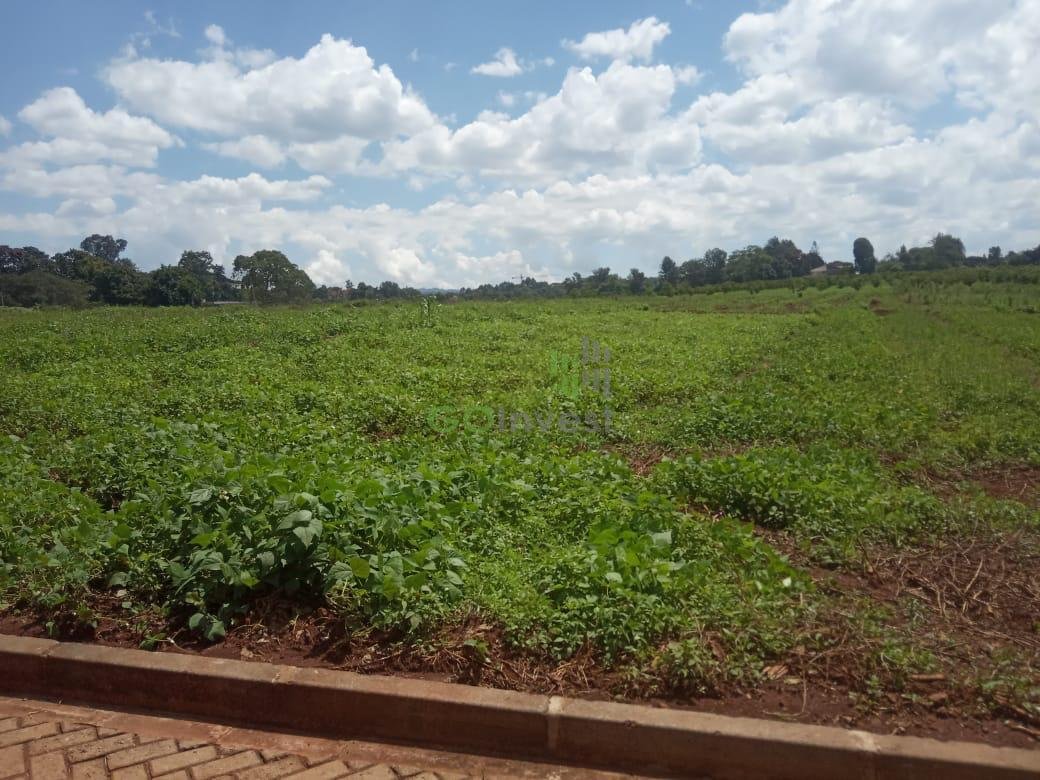 WhatsApp Image 2020-06-11 at 10.25.20