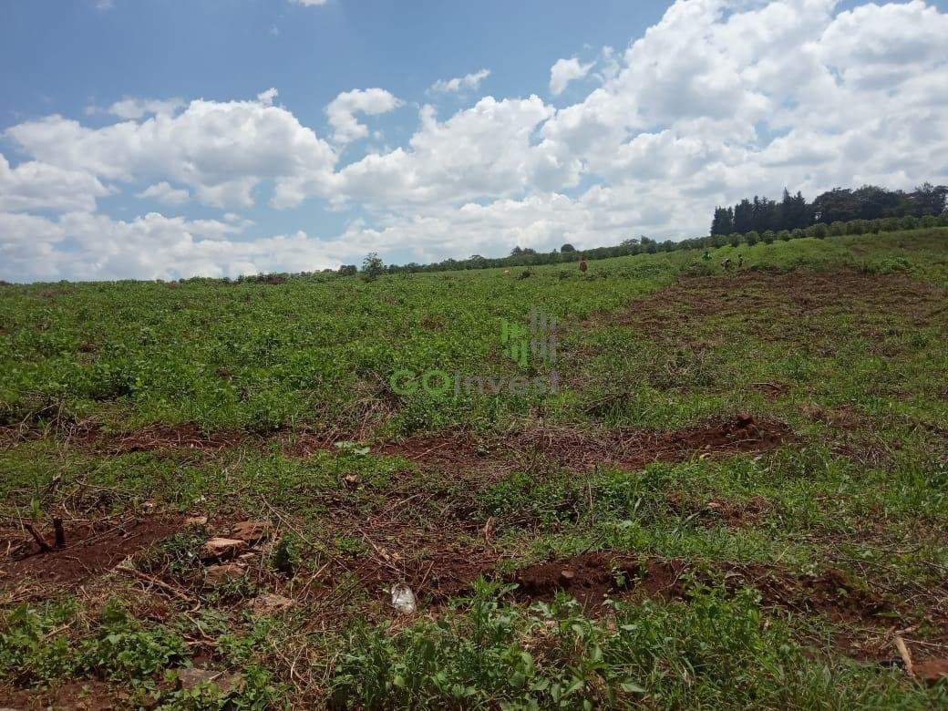 WhatsApp Image 2020-06-11 at 10.25.22