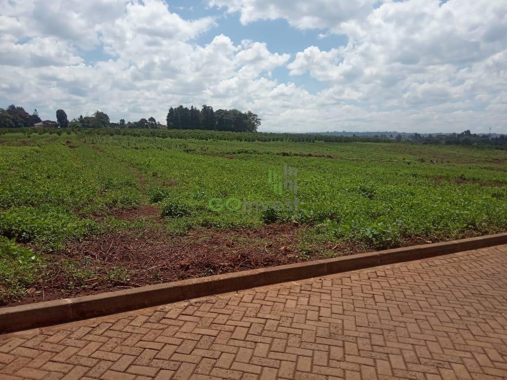 WhatsApp Image 2020-06-11 at 10.25.23